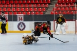 Yetis Cup 2026