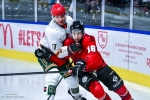 Les Boxers s'imposent face à Anglet
