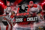 PRESENTATION DOGS DE CHOLET