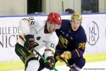 Ligue Magnus : 2Ã¨me journÃ©e : Nice vs Anglet