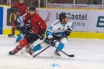 Ligue Magnus : 6Ã¨me journÃ©e  : Chamonix  vs Marseille
