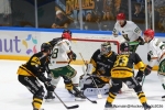 Ligue Magnus : 8Ã¨me journÃ©e  : Rouen vs Anglet