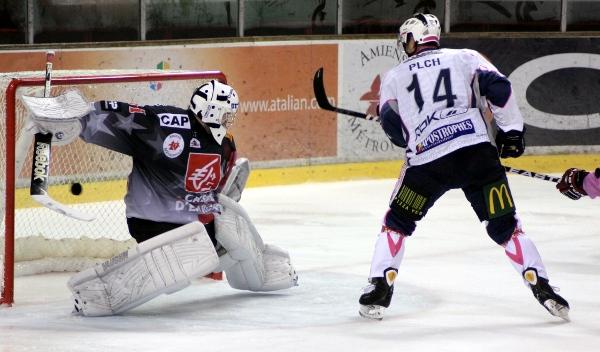 Les Gothiques vendangent