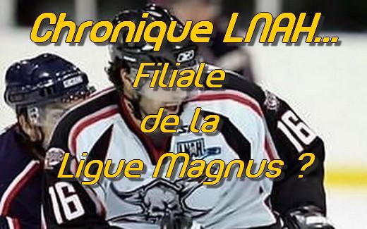 Ligue Magnus : La filiale de la LNAH ?