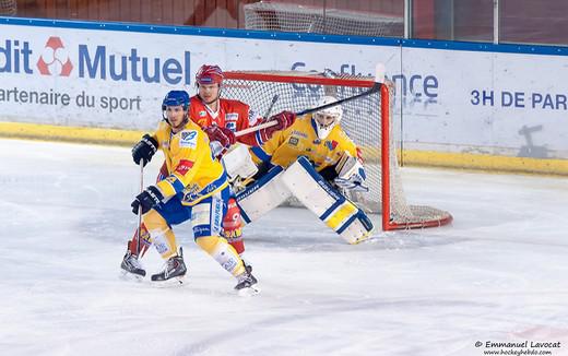 Les Lions croquent les Dijonnais