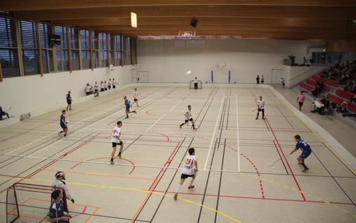 Floorball - D1 : des sommets dans les Alpes