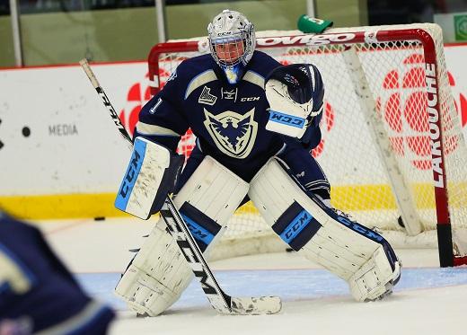 LHJMQ : Le Phoenix crée la surprise