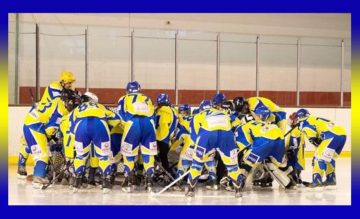 Toulon : Fermeture définitive de la Patinoire ?