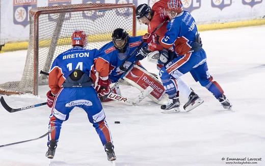 LM : Les Lions croquent les Hiboux