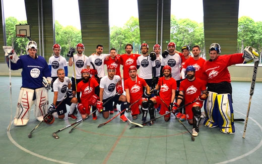 Championnat de France de Hockey Ball