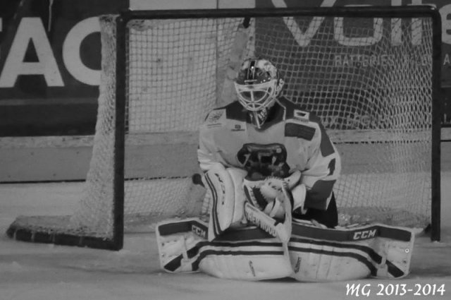 Photo hockey match Bordeaux - Montpellier  le 31/10/2013