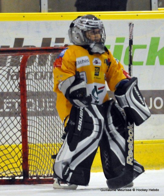Photo hockey match Dijon  - Amiens  le 15/11/2013