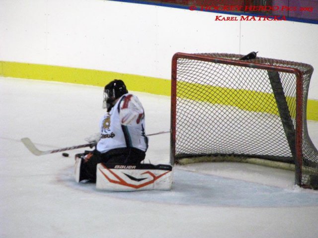 Photo hockey match Besançon - Dammarie-les-Lys le 21/12/2013