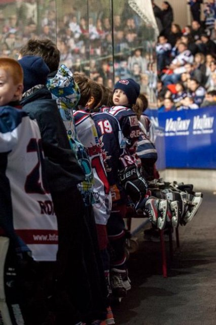 Photo hockey match Grenoble  - Dijon  le 11/01/2014