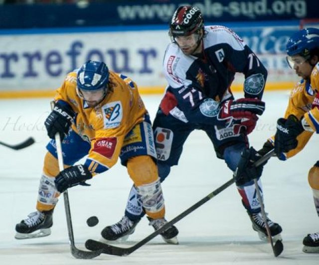Photo hockey match Grenoble  - Dijon  le 11/01/2014