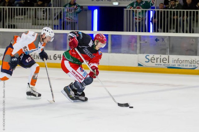 Photo hockey match Anglet - Montpellier  le 25/01/2014