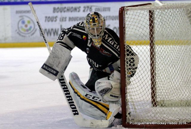 Photo hockey match Rouen - Briançon  le 28/01/2014