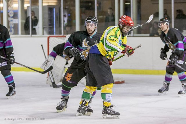 Photo hockey match Viry-Châtillon - Dammarie-les-Lys le 01/02/2014
