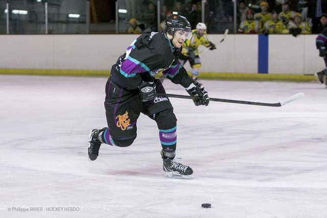 Photo hockey match Viry-Châtillon - Dammarie-les-Lys le 01/02/2014