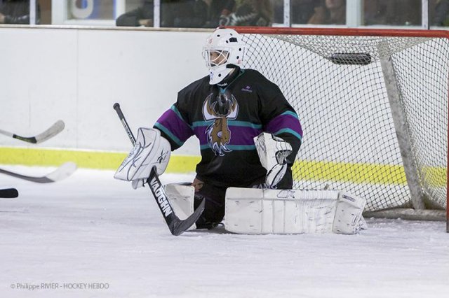 Photo hockey match Viry-Châtillon - Dammarie-les-Lys le 01/02/2014