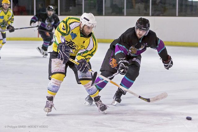 Photo hockey match Viry-Châtillon - Dammarie-les-Lys le 01/02/2014