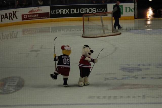 Photo hockey reportage Tournoi Pee Wee de Québec