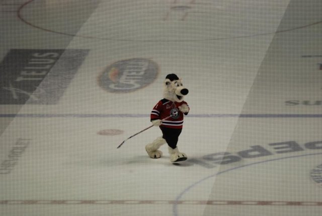 Photo hockey reportage Tournoi Pee Wee de Québec