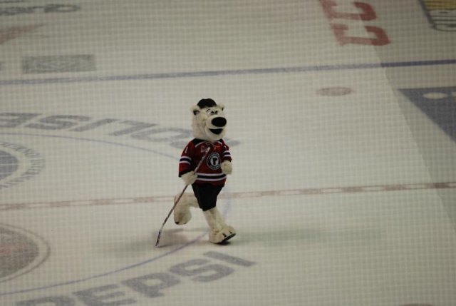 Photo hockey reportage Tournoi Pee Wee de Québec