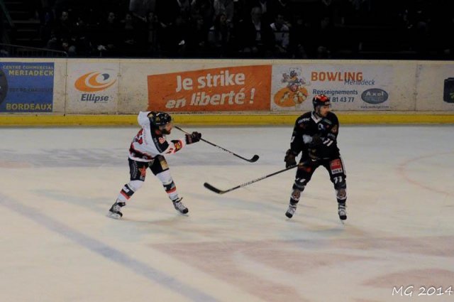 Photo hockey match Bordeaux - Mulhouse le 22/03/2014
