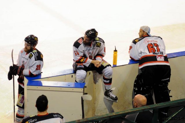Photo hockey match Bordeaux - Mulhouse le 23/03/2014