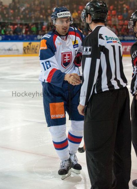 Photo hockey reportage Šatan coule la France à Grenoble