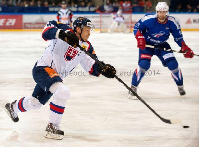Photo hockey reportage Šatan coule la France à Grenoble