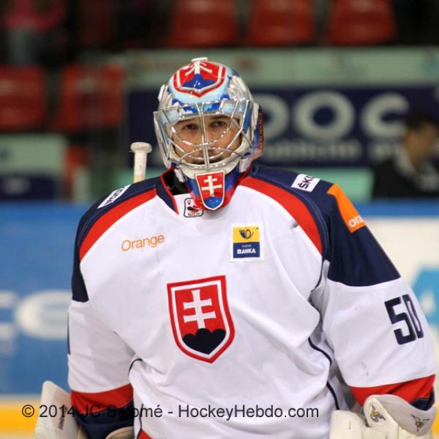 Photo hockey reportage Šatan coule la France à Grenoble