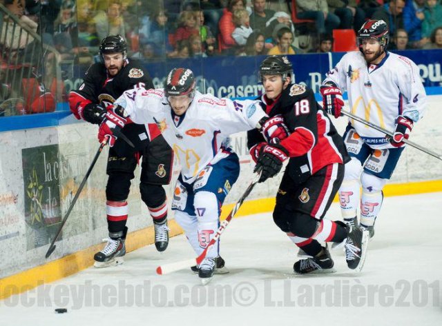 Photo hockey reportage Grenoble résiste face à l'AHL