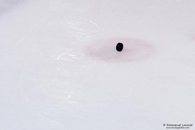 Photo hockey match Lyon - Dijon  le 21/10/2014