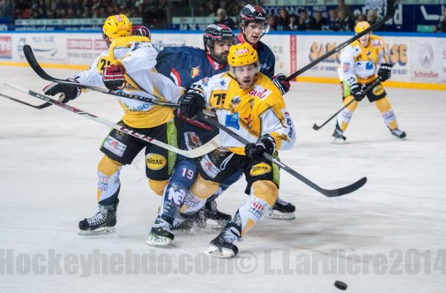 Photo hockey match Grenoble  - Strasbourg  le 14/11/2014