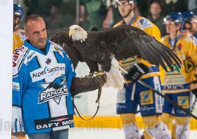 Photo hockey match Gap  - Dijon  le 01/11/2014