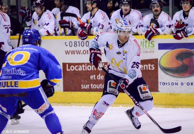 Photo hockey match Dijon  - Grenoble  le 16/11/2014