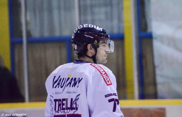 Photo hockey match Dijon  - Grenoble  le 16/11/2014