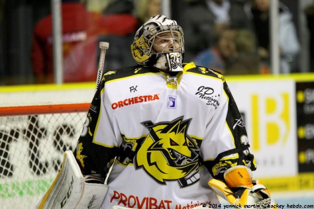 Photo hockey match Clermont-Ferrand - Roanne le 22/11/2014
