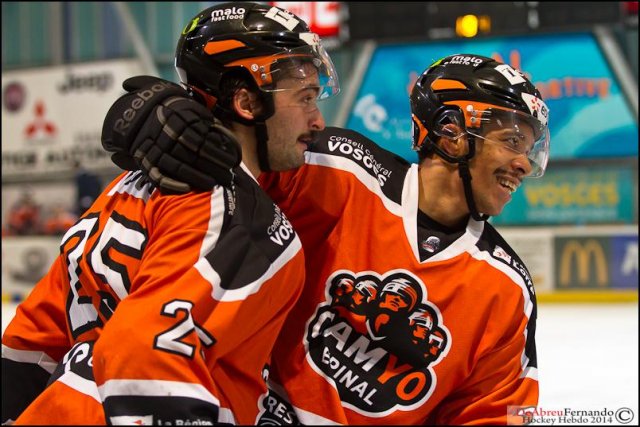 Photo hockey match Epinal  - Grenoble  le 29/11/2014