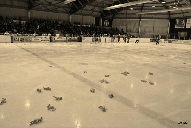 Photo hockey match La Roche-sur-Yon - Evry  le 29/11/2014