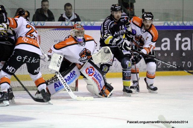 Photo hockey match Rouen - Epinal  le 28/12/2014