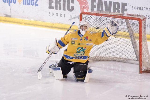Photo hockey match Lyon - Dijon  le 10/01/2015