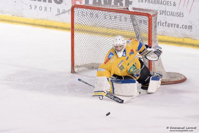 Photo hockey match Lyon - Dijon  le 10/01/2015