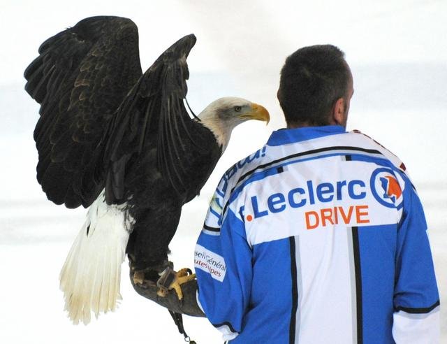 Photo hockey match Gap  - Briançon  le 17/01/2015