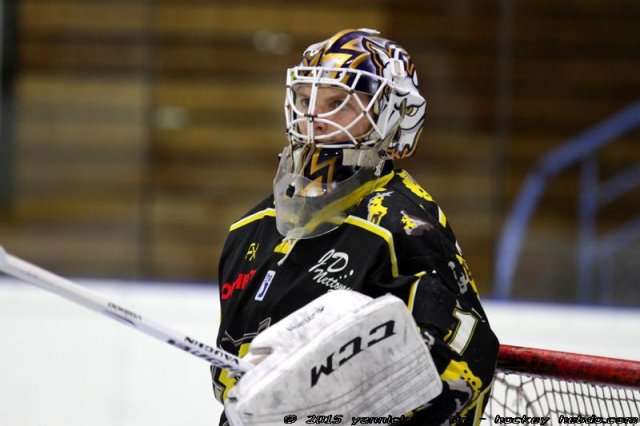 Photo hockey match Roanne - Clermont-Ferrand le 24/01/2015