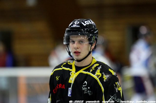 Photo hockey match Roanne - Clermont-Ferrand le 24/01/2015