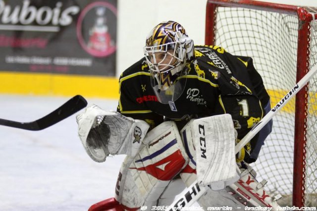 Photo hockey match Roanne - Clermont-Ferrand le 24/01/2015