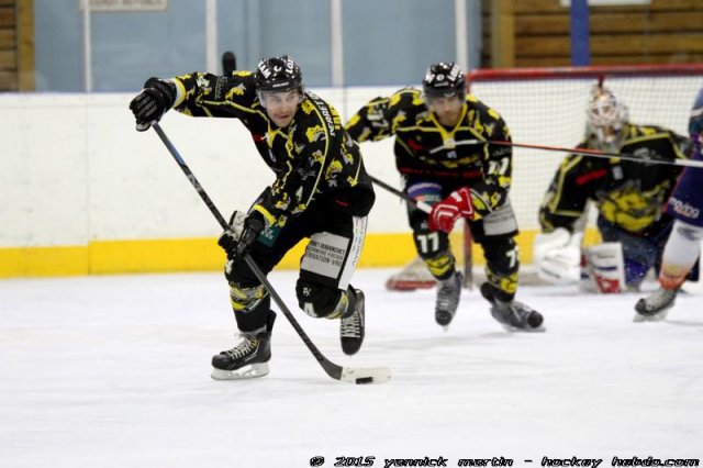 Photo hockey match Roanne - Clermont-Ferrand le 24/01/2015